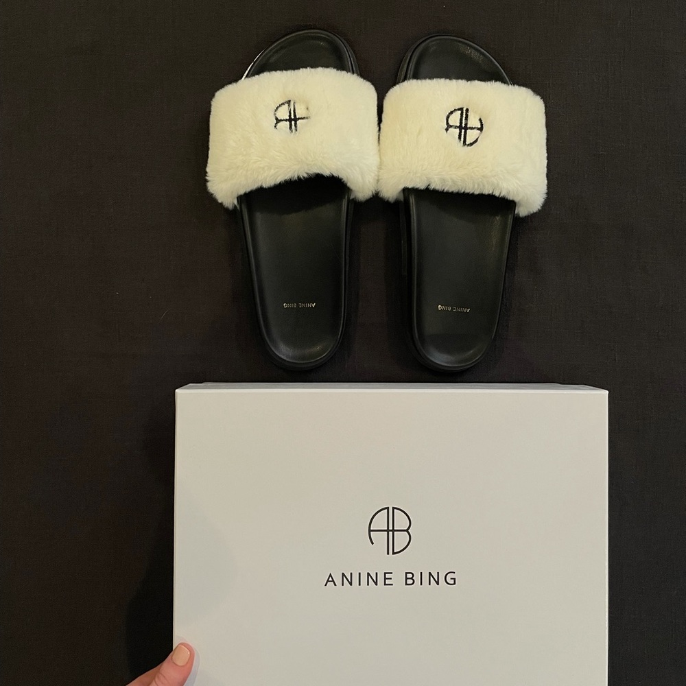 ANINE BING SLIDES